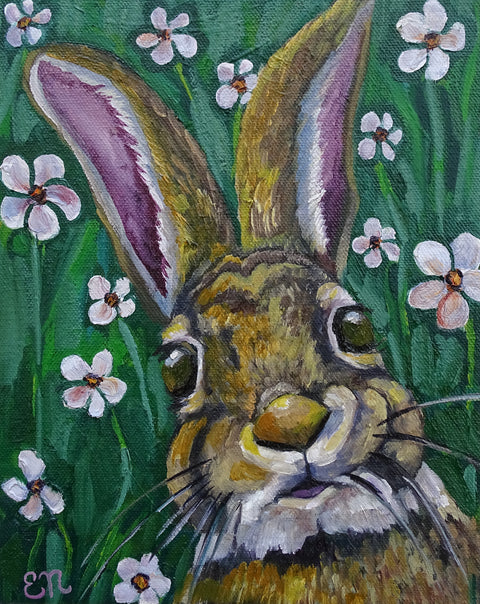 “Mr. Hop”