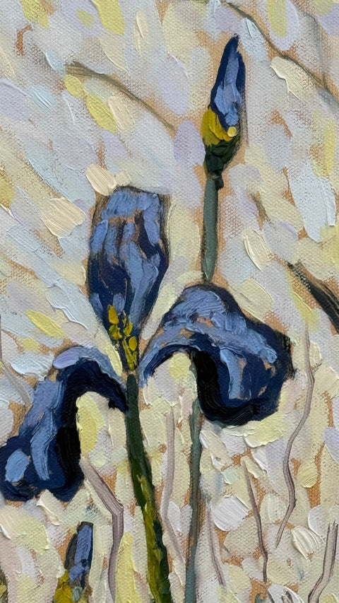 Happy Little Irises