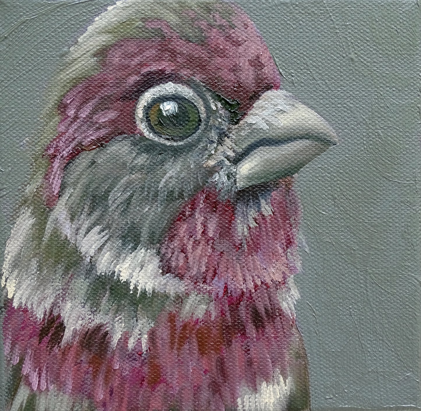 Miniature House Finch