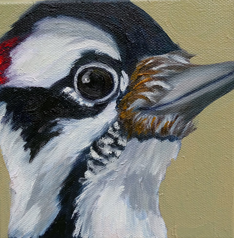 Miniature Hairy Woodpecker