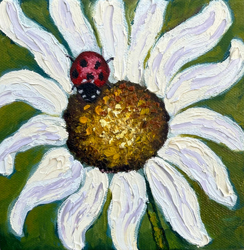Miniature Ladybug