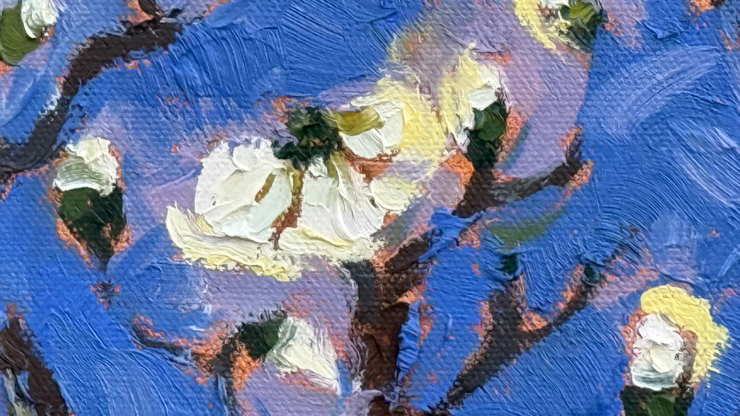 Dogwood Winter