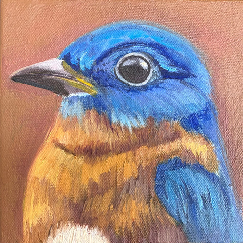 Miniature Bluebird