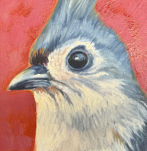 Miniature Tufted Titmouse