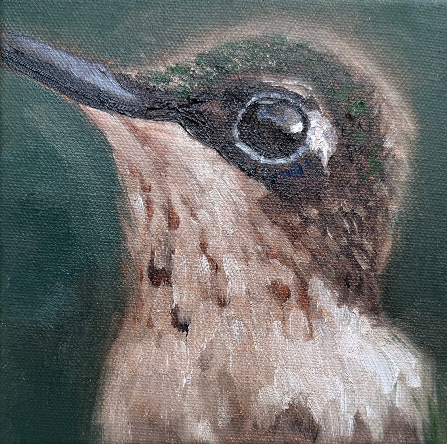 Miniature Female Ruby Throated Hummingbird