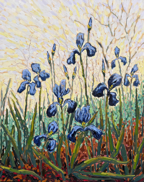 Happy Little Irises