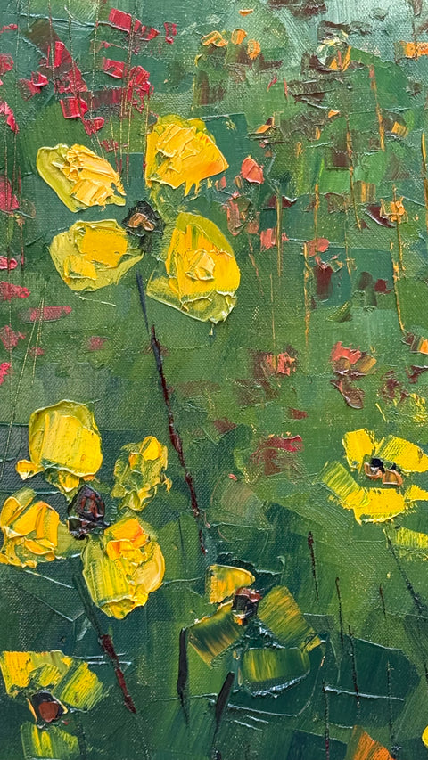 Where the Wild Fields Bloom