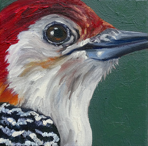 Miniature Red Bellied Woodpecker