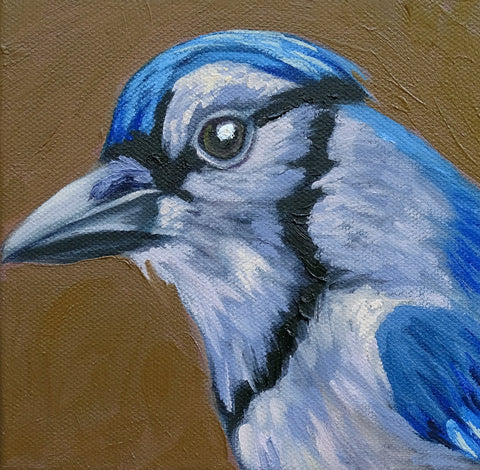 Miniature Bluejay