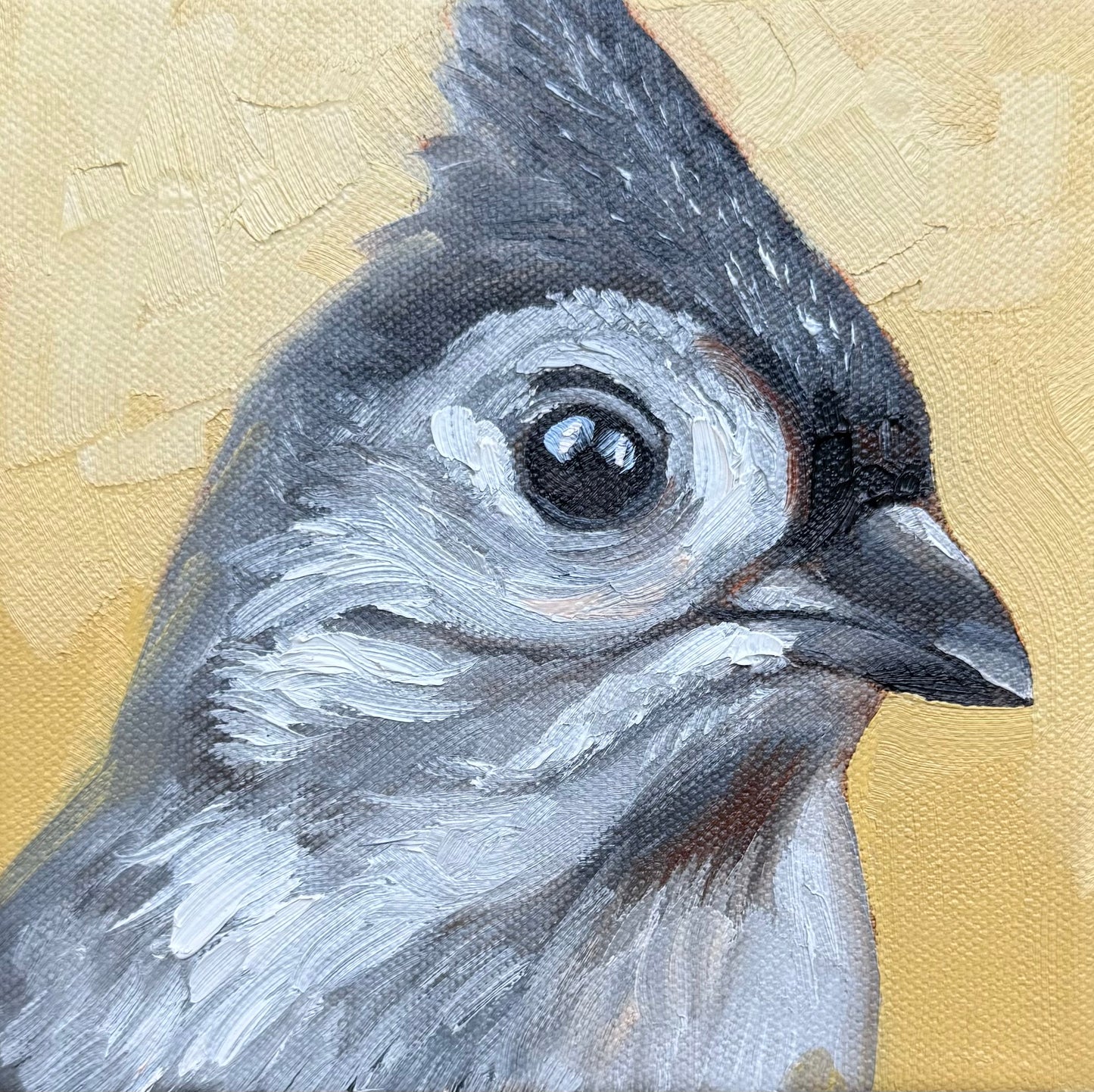 Miniature Tufted Titmouse