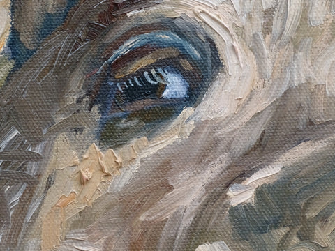 “Here’s Looking at You”