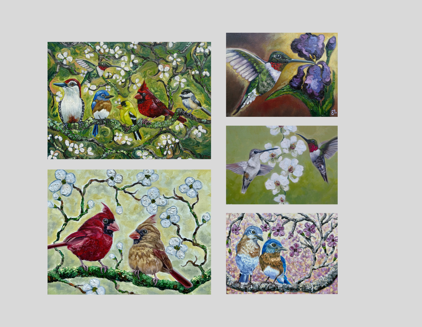 Birds and Blossoms Variety Pack