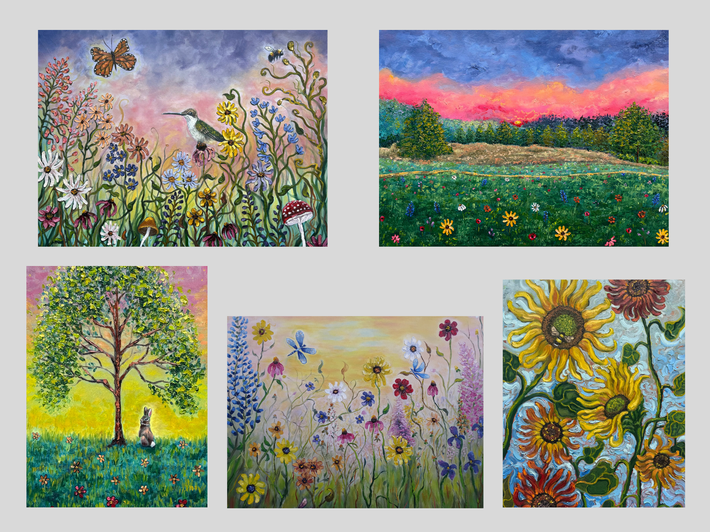 Bloom and Wonder Variety Pack