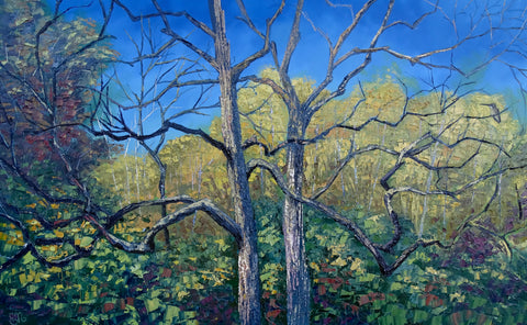 “Hummingbird Haven”