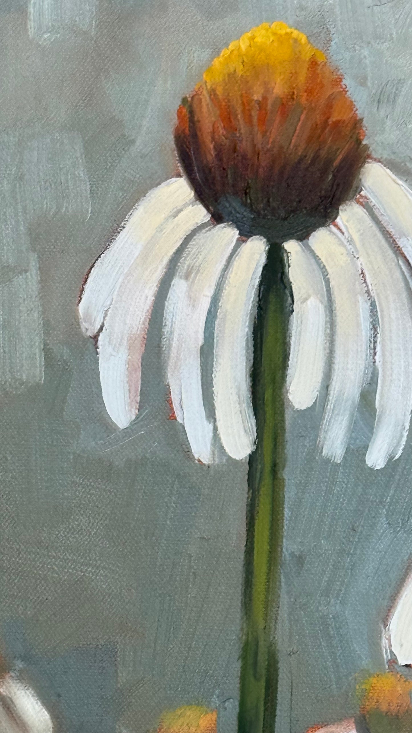 White Coneflowers