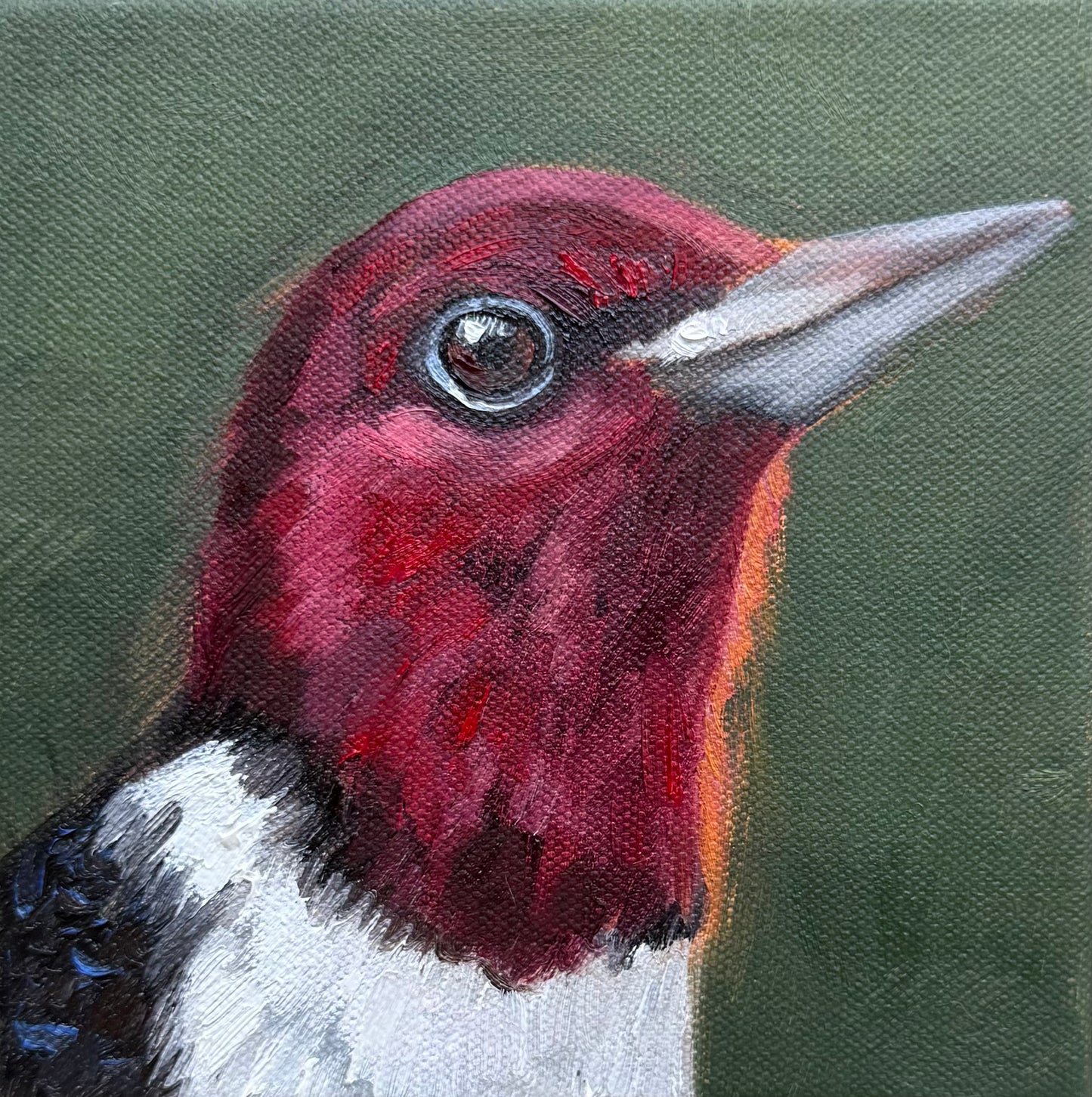Miniature Red Headed Woodpecker