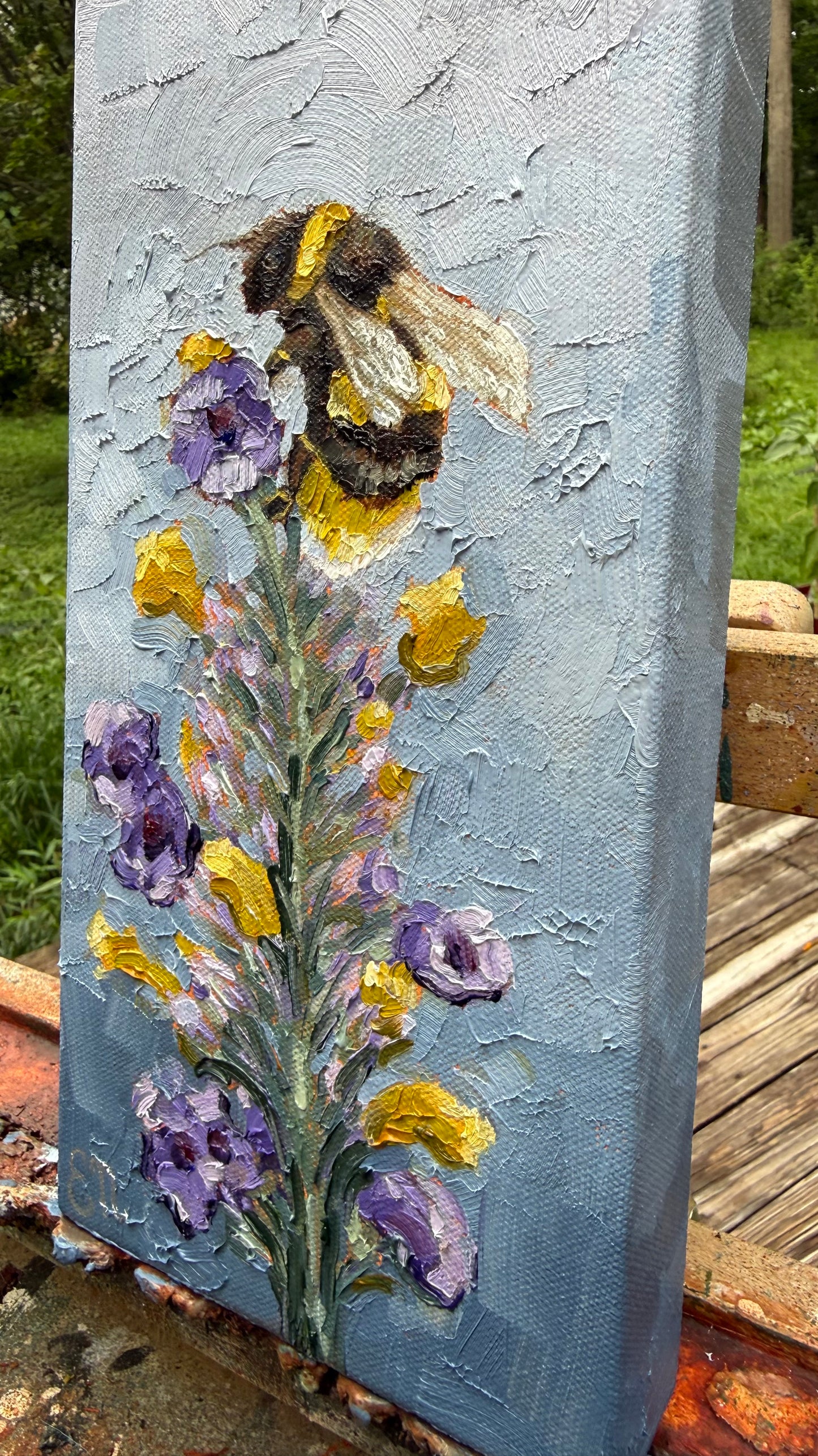 Lavender Dreams