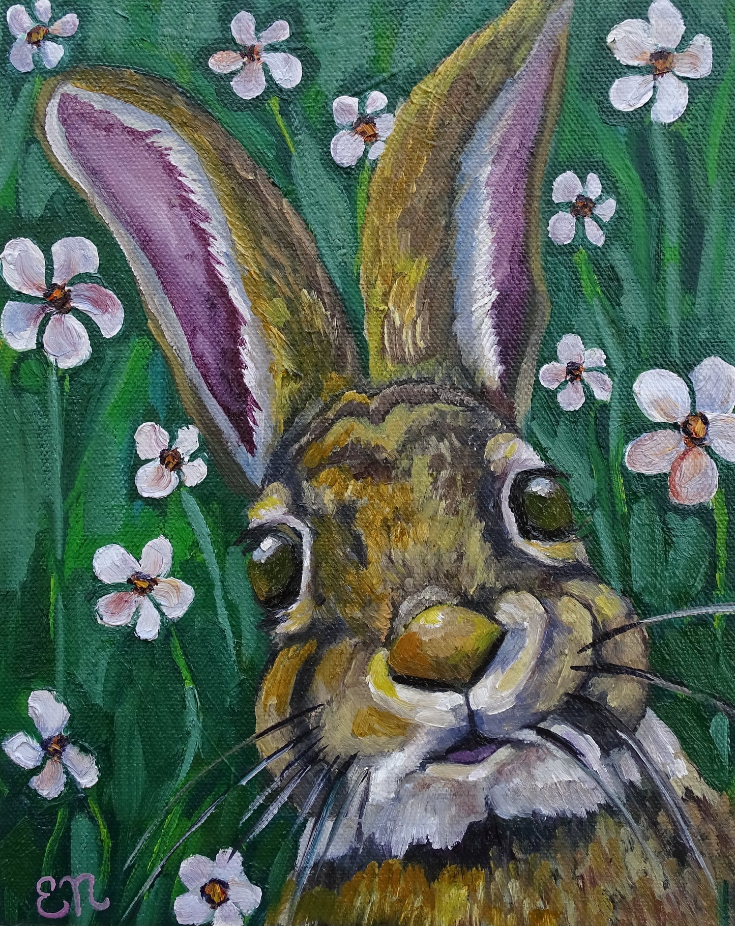 “Mr. Hop”