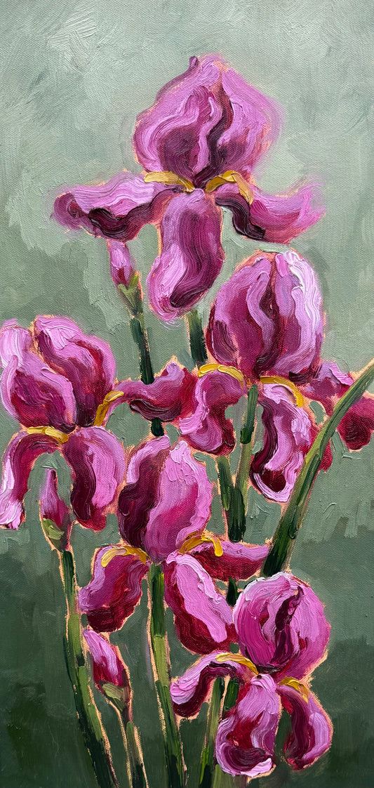 Pink Irises