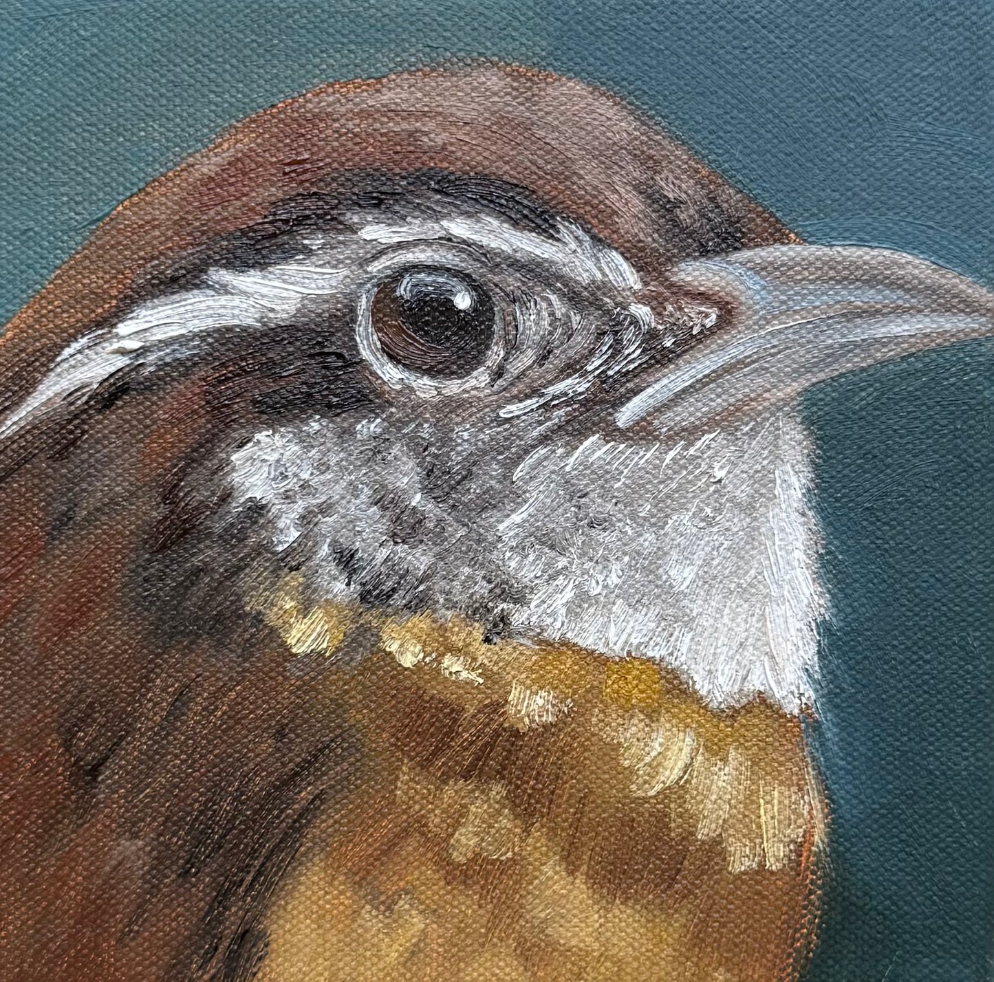 Miniature Carolina Wren