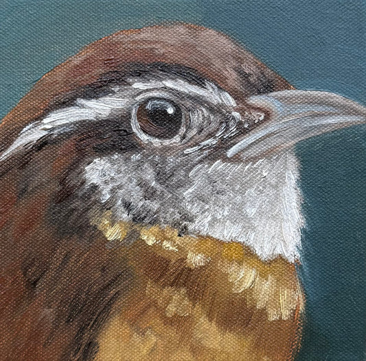 Miniature Carolina Wren