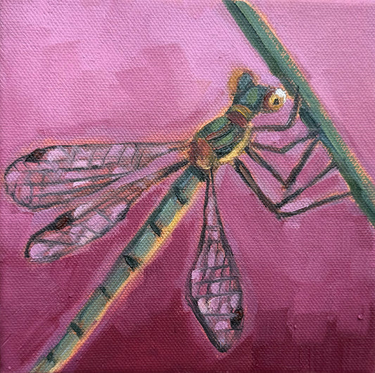Miniature Dragonfly