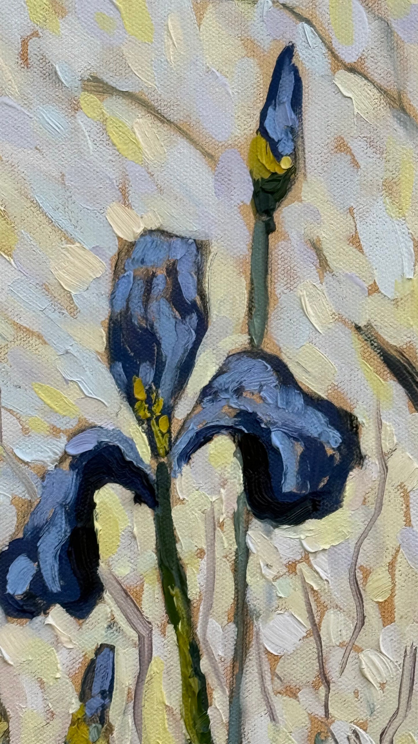 Happy Little Irises