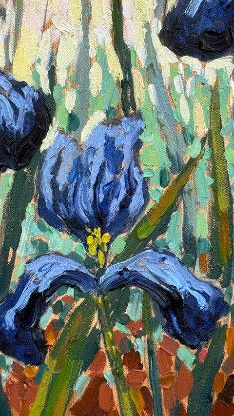 Happy Little Irises