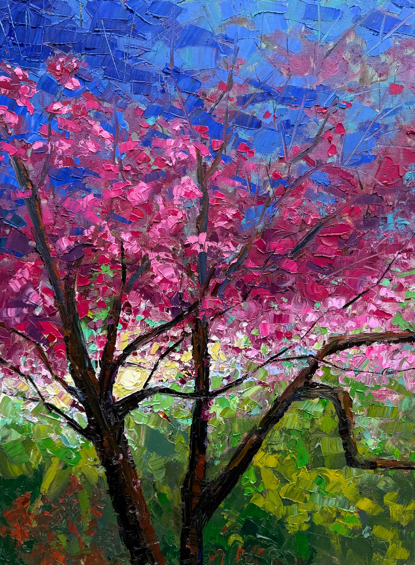 Redbud Revival