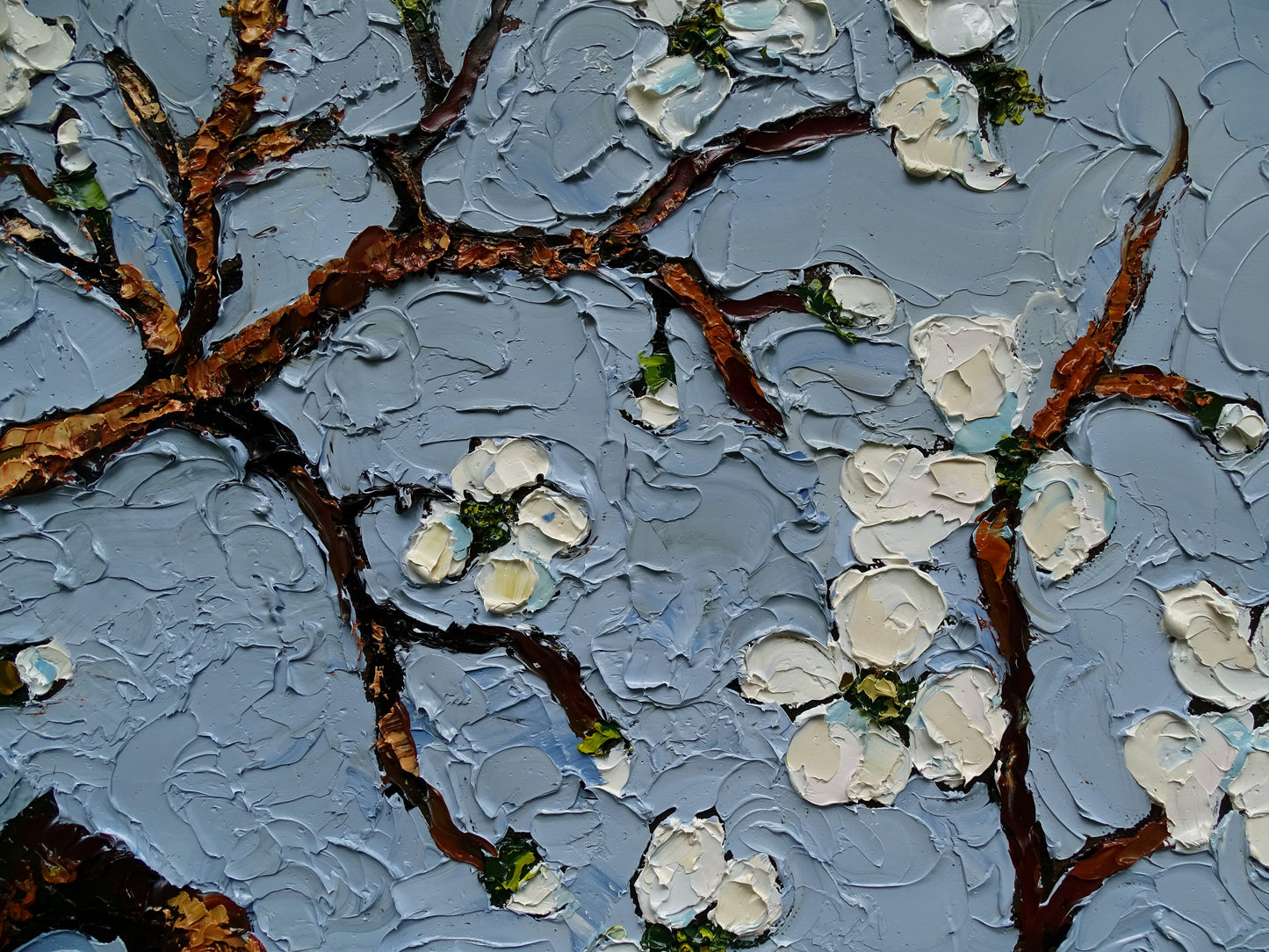 “Springtime Blues”