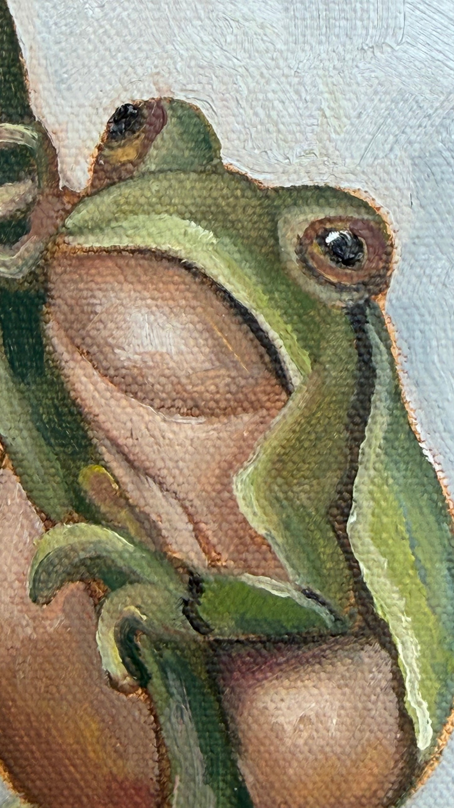 Garden Friend