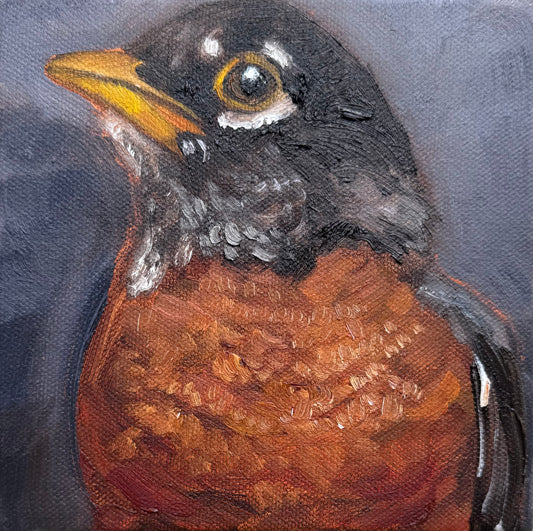 Miniature American Robin