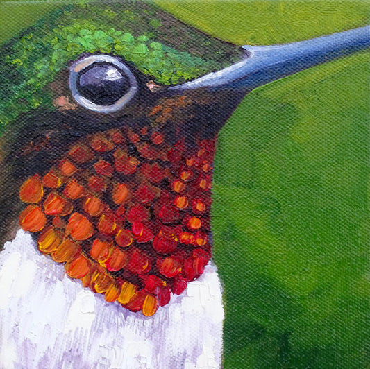 Miniature Ruby Throated Hummingbird