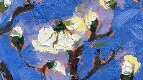 Dogwood Winter