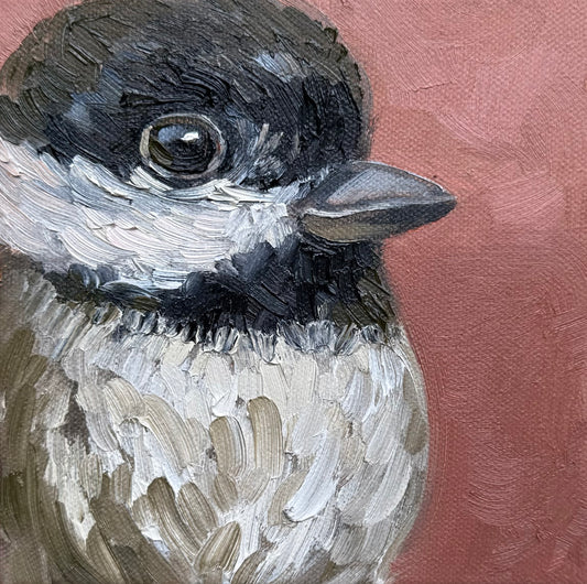 Miniature Carolina Chickadee