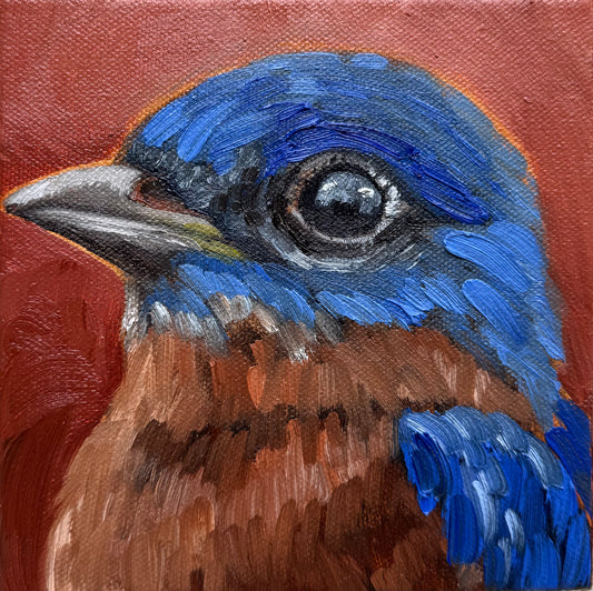 Miniature Bluebird