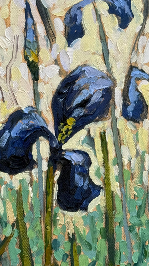 Happy Little Irises