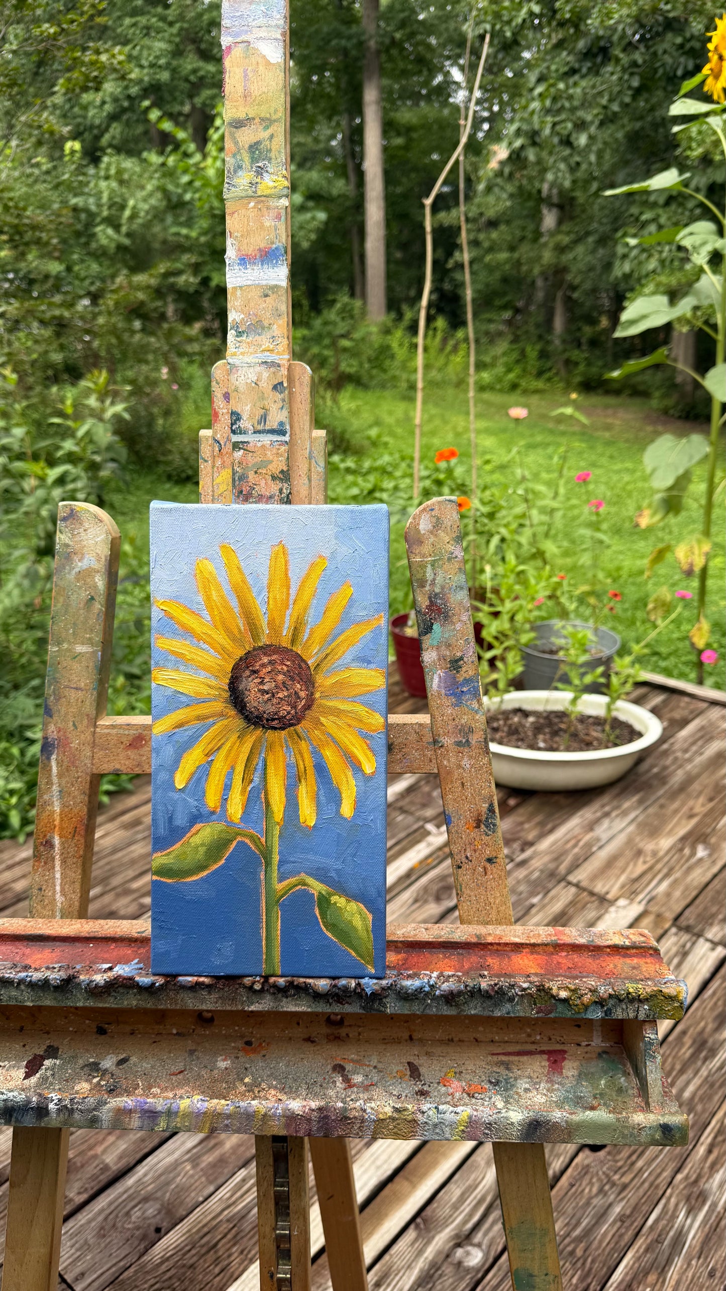 Sunflower