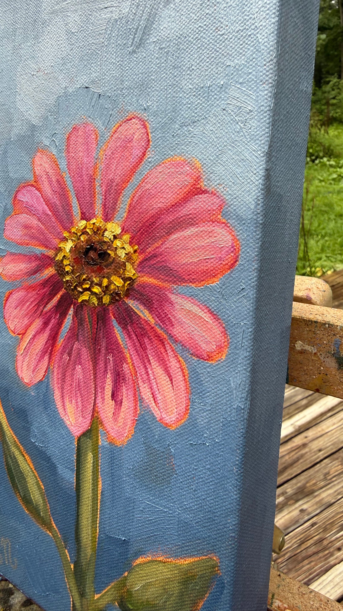 Pink Zinnia