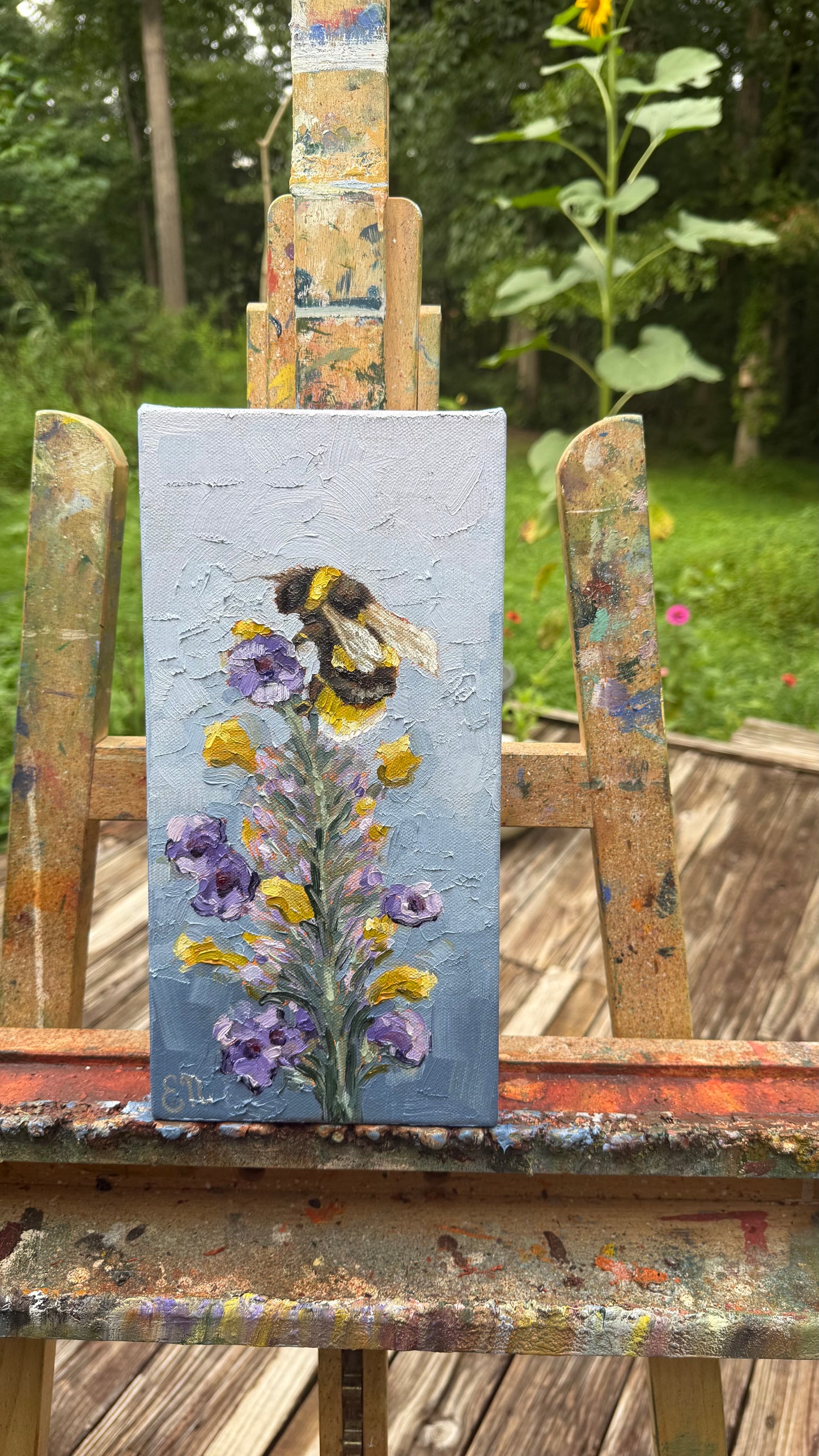 Lavender Dreams