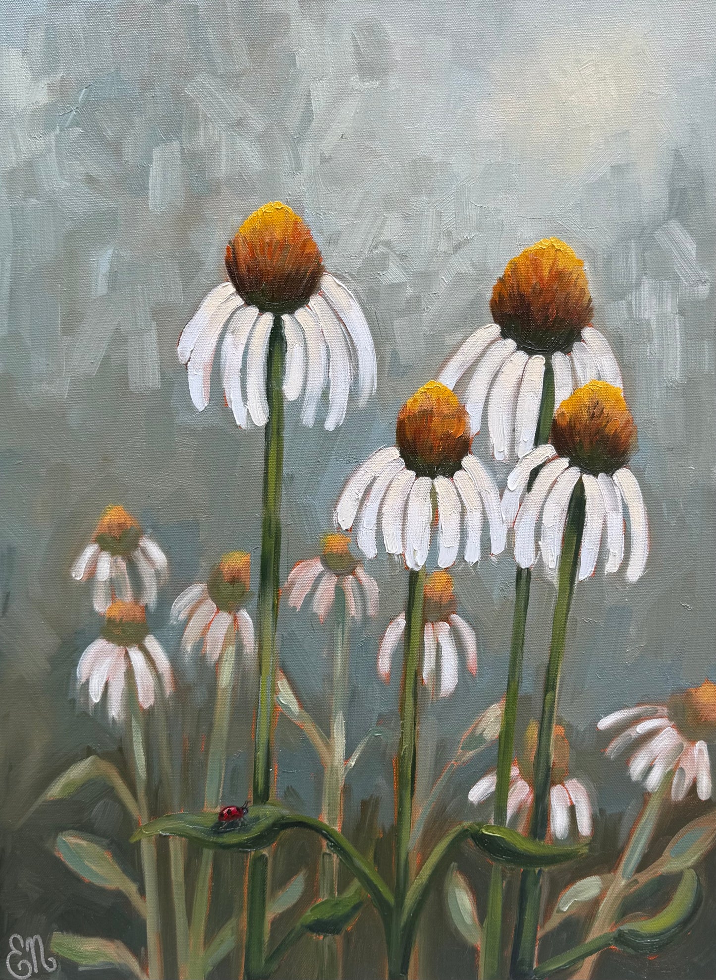 White Coneflowers