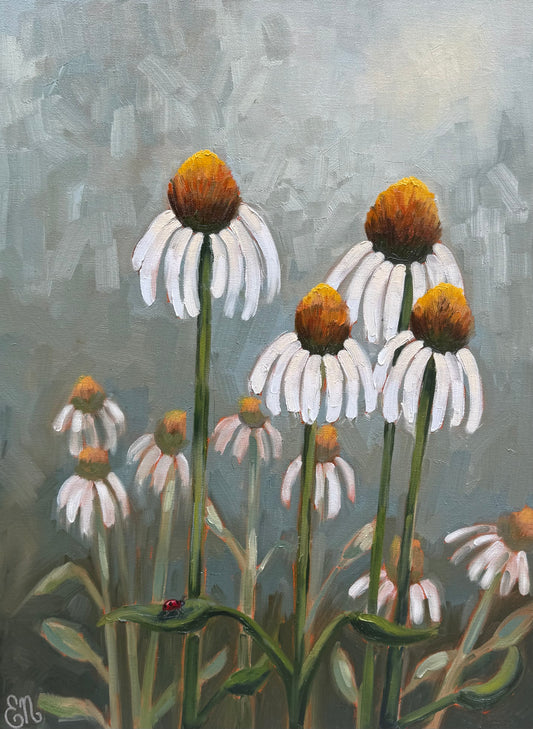 White Coneflowers