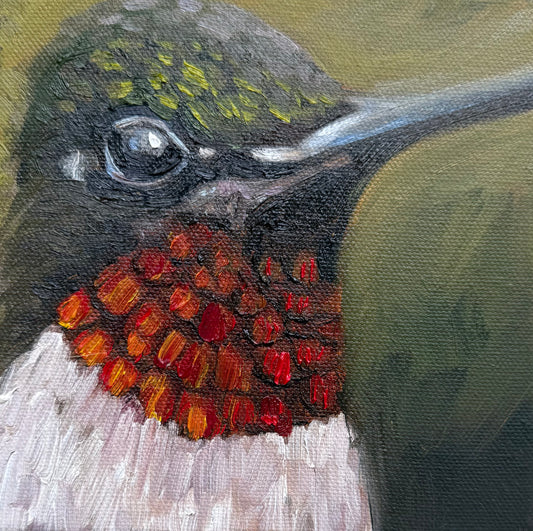 Miniature Ruby Throated Hummingbird