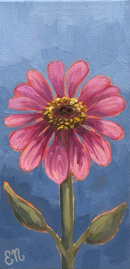 Pink Zinnia