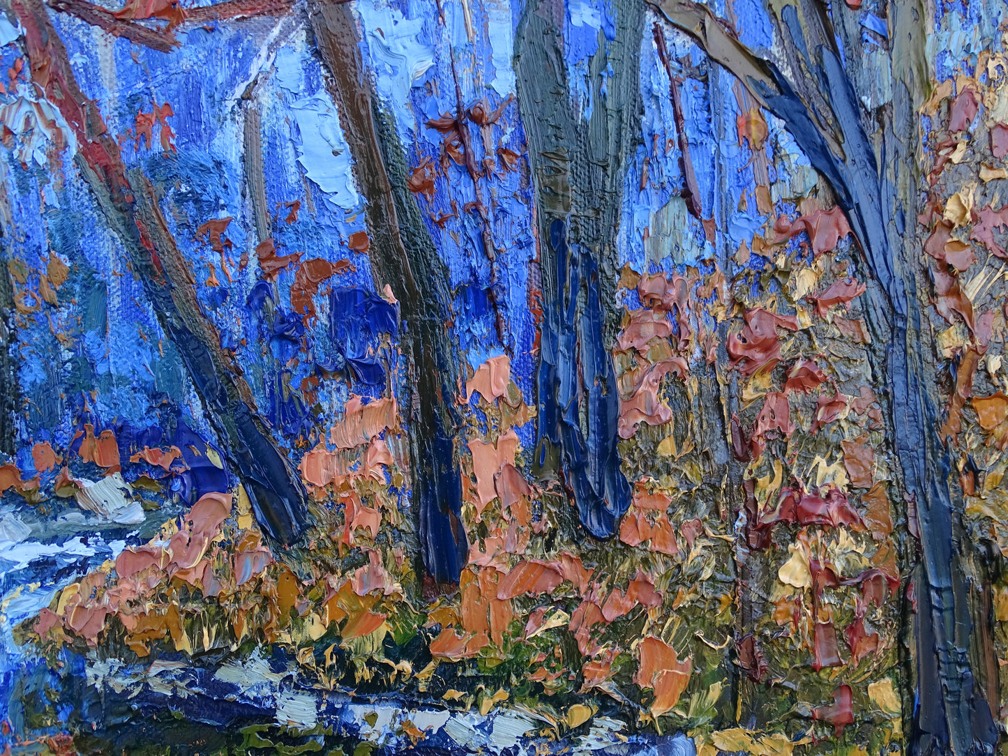 Sunlight in December