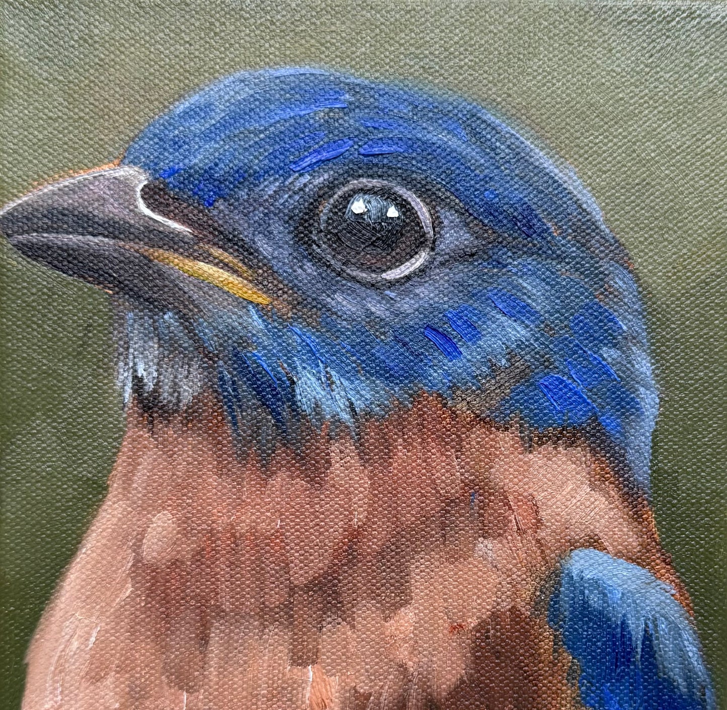Miniature Bluebird