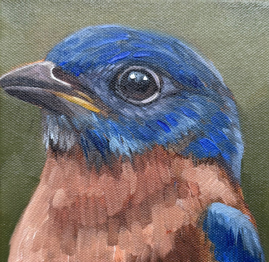 Miniature Bluebird