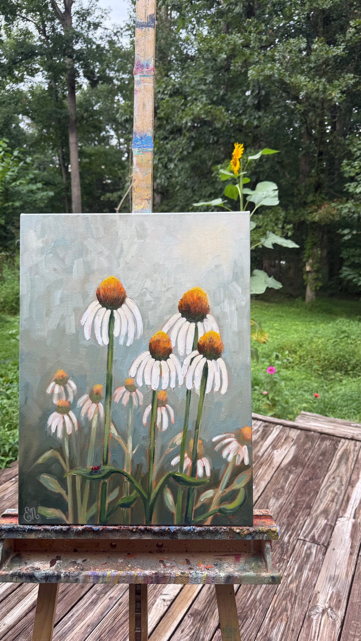 White Coneflowers