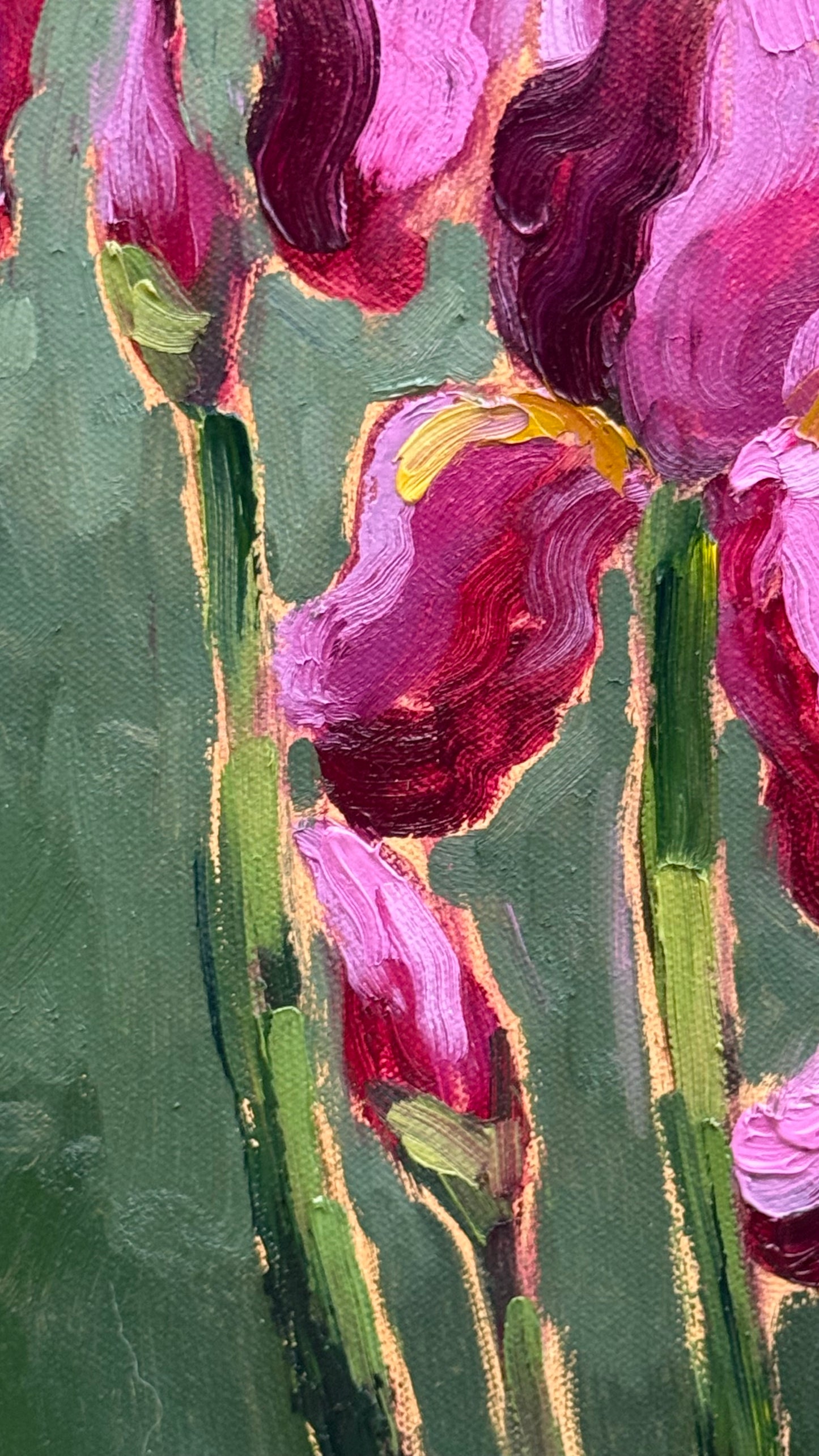Pink Irises