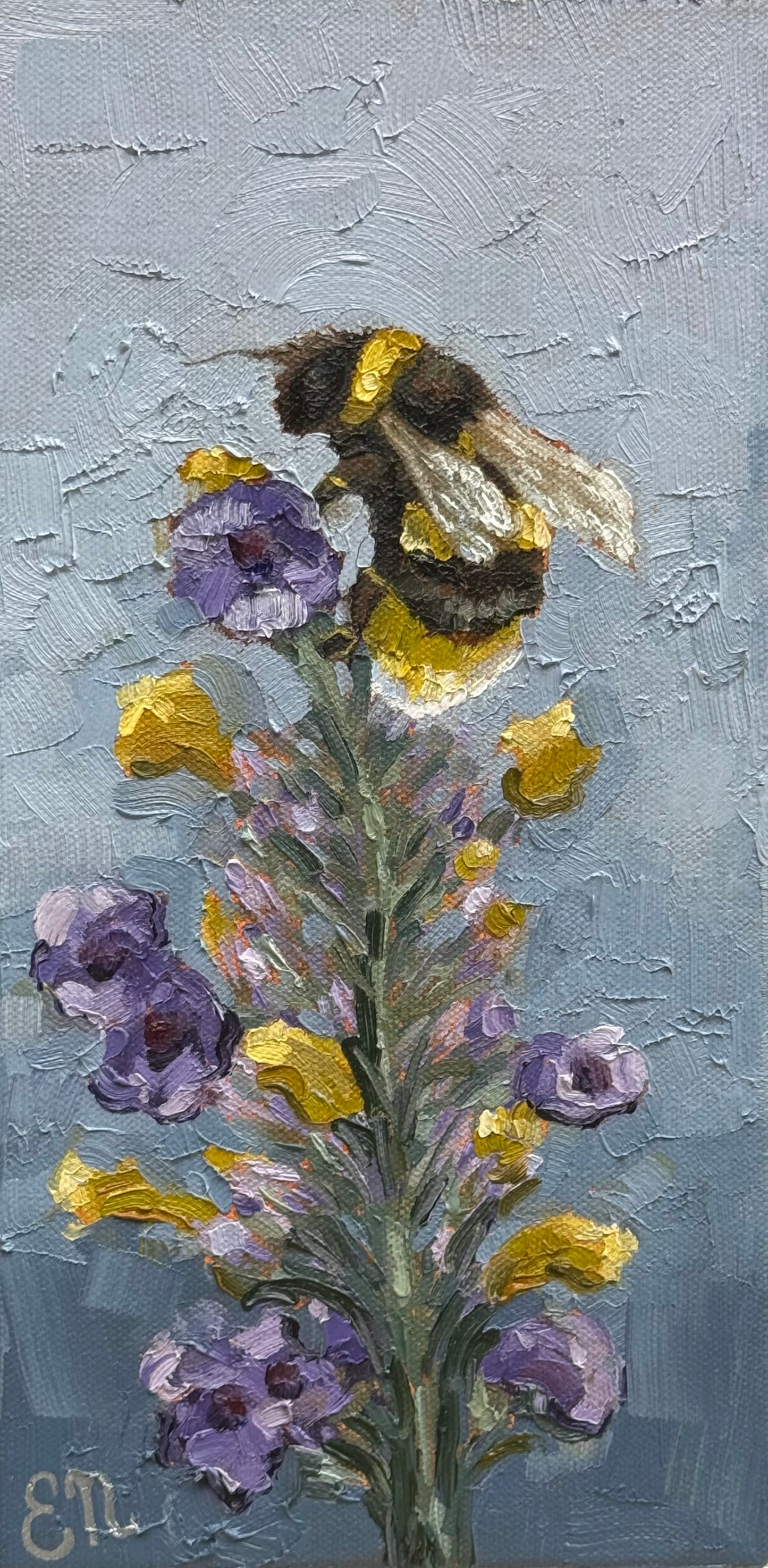 Lavender Dreams